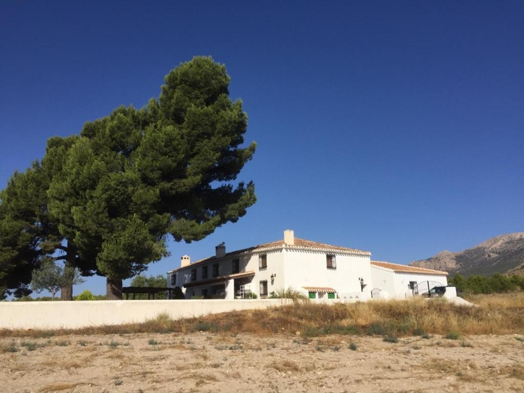 B&B Cortijo El Ciruelo Chirivel Екстер'єр фото
