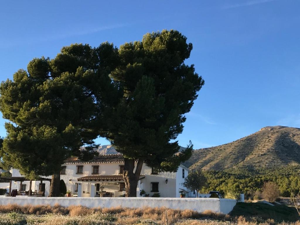 B&B Cortijo El Ciruelo Chirivel Екстер'єр фото