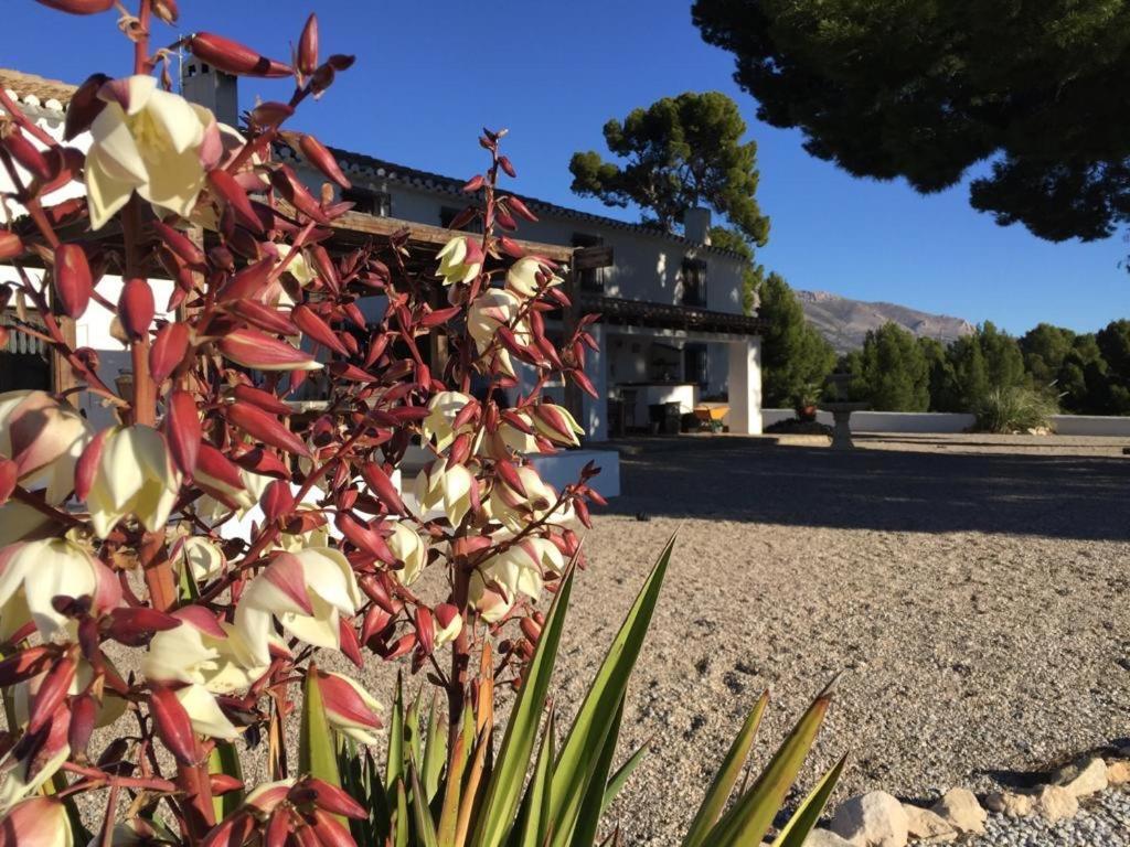 B&B Cortijo El Ciruelo Chirivel Екстер'єр фото